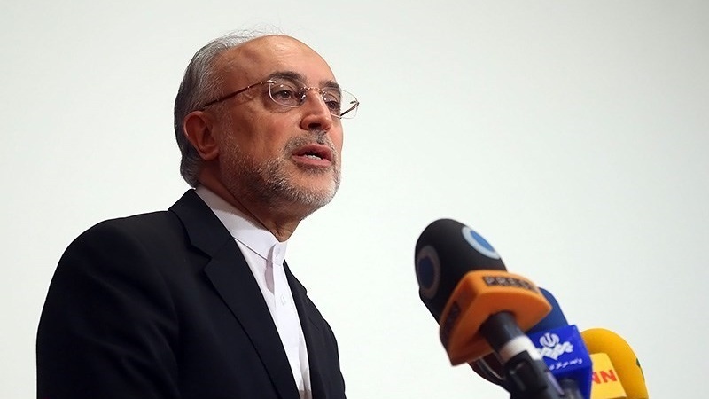 بیس فیصدیورینیئم کی افزودگی ایران کے اختیار سے باہر نہیں 