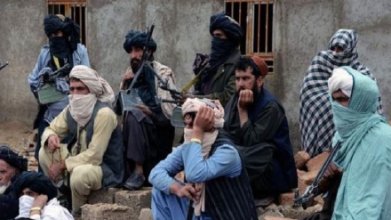 حقانی گروہ کے انس حقانی سمیت 9 ارکان رہا