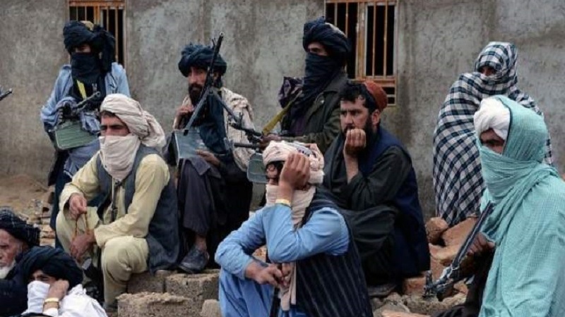 حقانی گروہ کے انس حقانی سمیت 9 ارکان رہا