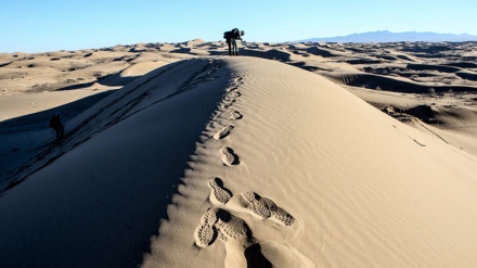 کەویری سیستان و بەلووچستان