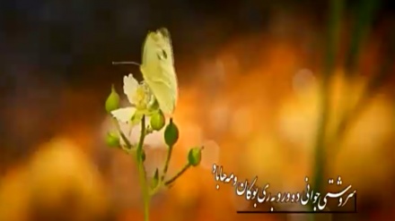 گۆرانیێکی خۆش بە دەنگی مامۆستا مەزهەر خالقی لە بەرنامەی ساباتی سۆز