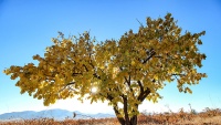 Ljepote jeseni u Abharu, u pokrajini Zandžan