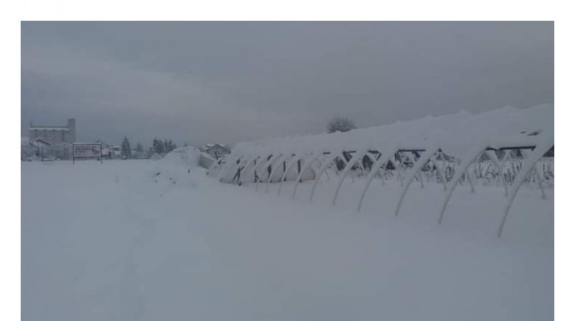 Snijeg uništio plastenike Nihada Gurbete u Bugojnu