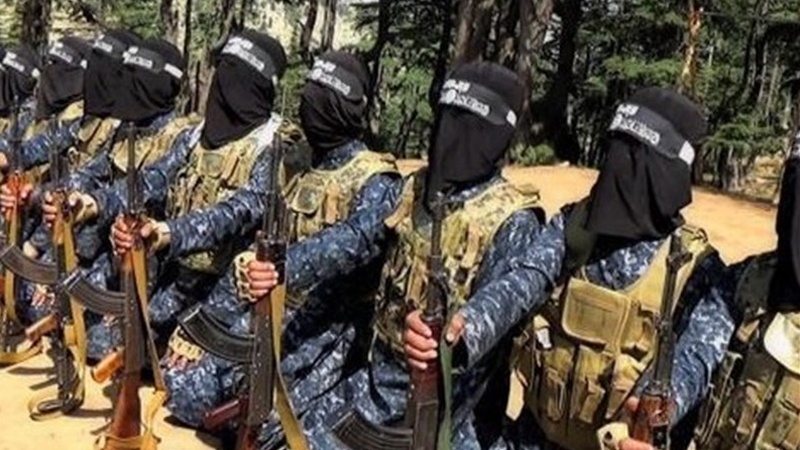 دہشتگرد داعش کا نائیجیرین فوج پر حملہ 30 ہلاک