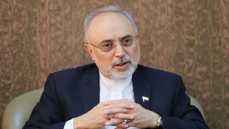 ایران کی جانب سے خطے کے ملکوں کو ایٹمی تعاون کی پیشکش 