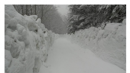 Pronađeni migranti na Plješevici, dvojica u životnoj opasnosti