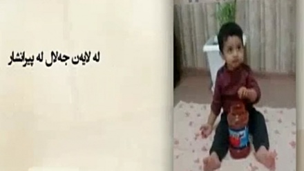 کلیپی بینەرانی شەوچرا