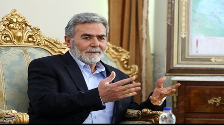 بزووتنەوەی جیهادی ئیسلامی : هیچ وڵاتێک بە ڕادەی ئێران لە گەلی فەلەستین پشتیوانی نەکردووە