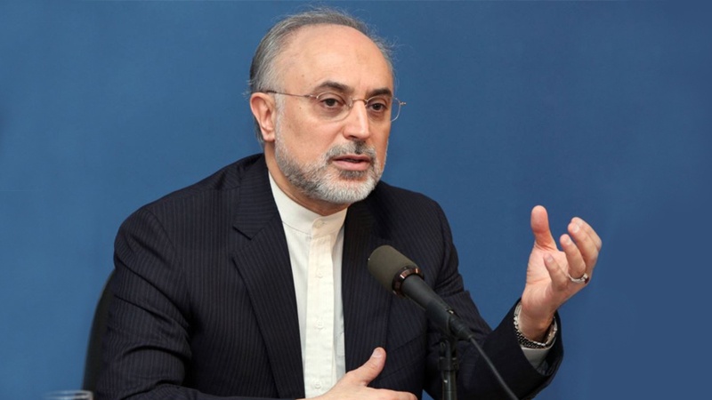 ایران اپنی جوہری سرگرمیوں کو جاری رکھے گا: صالحی