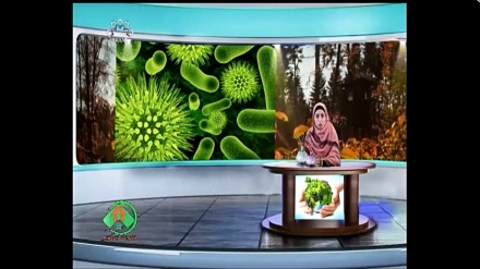 HƏYAT AYNASI - 05-01-2019 - Öz ailə həyatınız üçün, ona mənəvi ruh və sağlaçlıq bəxş etmək və öz ətraf mühitinizi gözəl və sevincli etməyə olan ehtiyacınıza cavabı bu proqramda tapacaqsınız