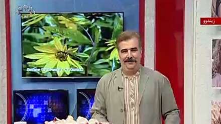 گۆرانی خۆشی بینەری بەرنامەی هۆرەی هەواران
