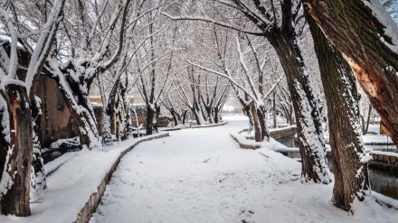 بارینی بەفری زستانی له وڵاتی ئێران