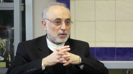 Salehi: İran nüvə sahəsində region ölkələrilə həmkarlığa hazırdır