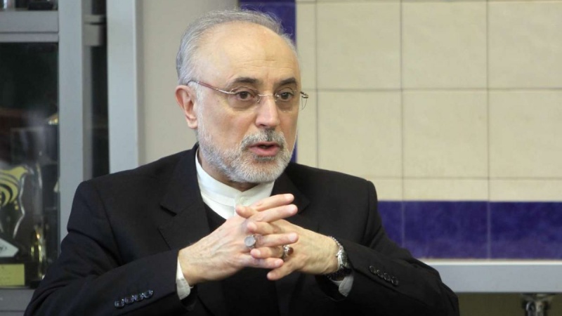 Salehi: İran nüvə sahəsində region ölkələrilə həmkarlığa hazırdır