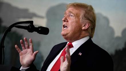 Tramp Ağ Evi tənqid edən mediaları yalançı adlandırdı