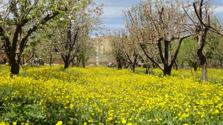 گۆرانی کوردی خۆش ببیسن