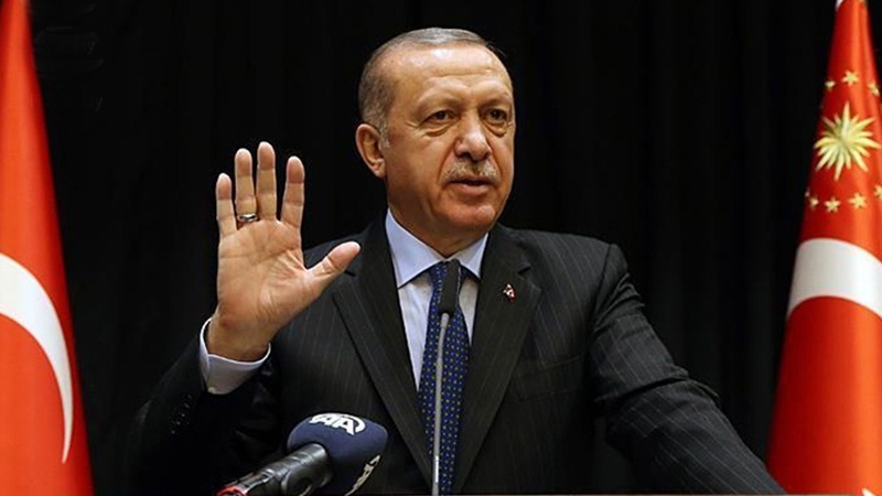 Türkiyə prezidenti Suriyanın şimalında müstəqil davranışa malik olduğunu dedi