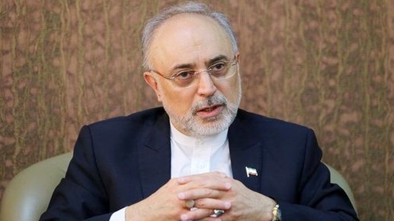 Salehi: Nüvə layihələrində İranın Avropa ilə həmkarlıqları davam edir