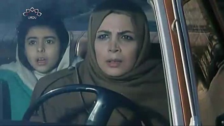  ڈاکومینٹری - چالیس سال کے ہنر