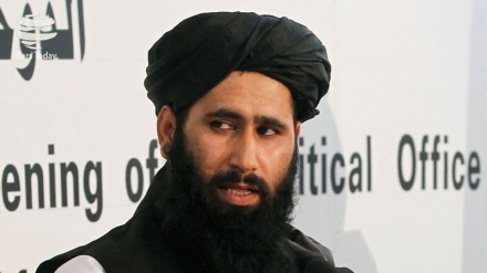 طالبان نے افغان حکومت کو امن مذاکرات کی پیشکش کردی