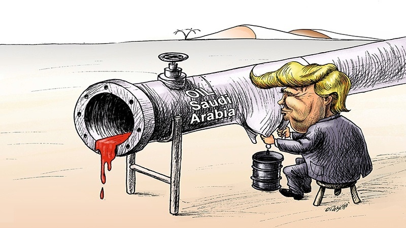 دودھیا سعودی گائے اور ٹرمپ! ۔ کارٹون