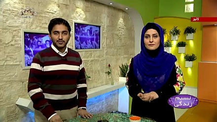 نسیم زندگی - استکبار مخالف انقلابی استقامت