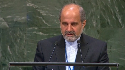 ئالی حەبیب: داگیرکەرانی زایونی لەگەڵ تیرۆریستاندا ھاوپەیمانن