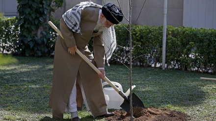 ایران بھر میں یوم درخت کاری اور ہفتہ قدرتی ذخائر کا آغاز 