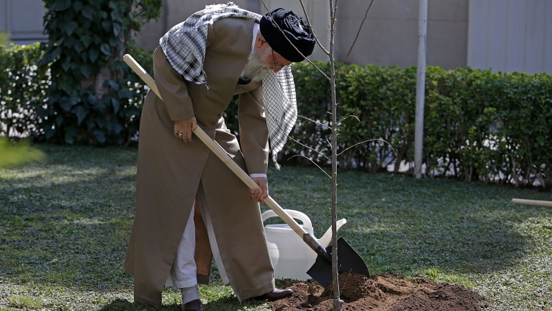 ایران بھر میں یوم درخت کاری اور ہفتہ قدرتی ذخائر کا آغاز 