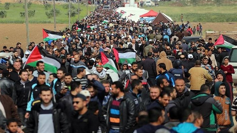 Fələstinli gənclər aksiya keçiriblər