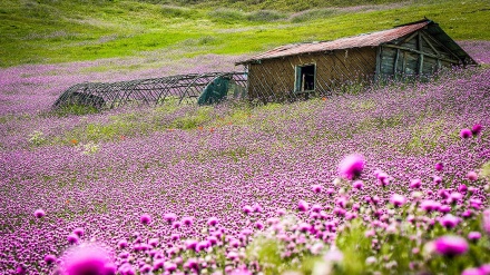 خەڵخاڵ بووکی سرووشتی ئێران 