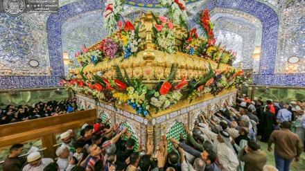 وێنەگەلێک جوان و سەرنج ڕاکێش له گڵکۆی پاکی حەزرەتی عەلی علیه السلام له نەجەفی ئەشرەف
