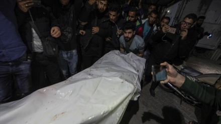 2019-cu ilin fevralında 8 fələstinli şəhid olub