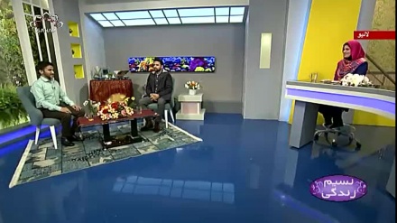 نسیم زندگی - ایک گیم ڈیزائنر سے گفتگو