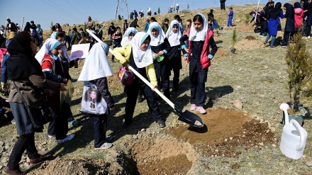  ڕۆژی دار ناشتن و بەشداری خەڵکی ئێران