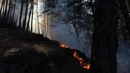 Mladi biciklista spriječio širenje požara u Trebjesi