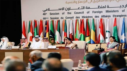 دہشت گردی سے دنیا عدم استحکام سے دوچار: ہندوستان