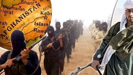 افغانستان: طالبان اور داعش کے متعدد دہشتگرد ہلاک