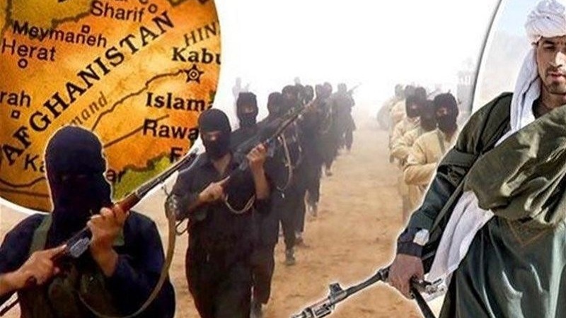 افغانستان: طالبان اور داعش کے متعدد دہشتگرد ہلاک