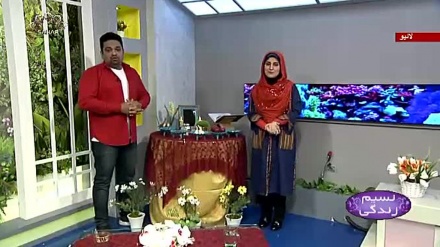 نسیم زندگی - جشن نوروز کا فلسفہ