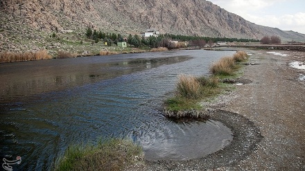 Jiyan li Gola Heşîlana Kirmaşanê