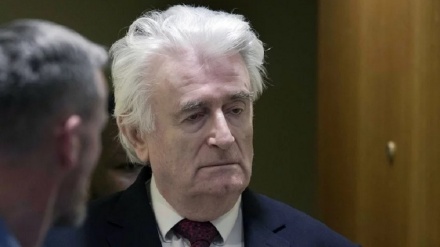 Radovan Karadžić pravosnažno osuđen na doživotnu kaznu zatvora