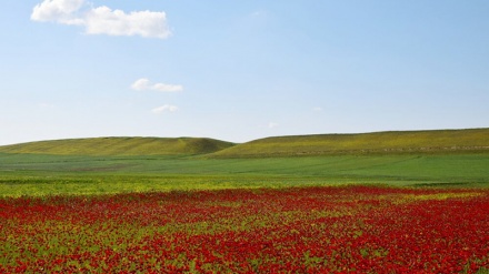 وێنەگەلێک لە ناوچەی جوانی دەشتی بیلەسوار ، پارێزگای ئەردەبێڵ 