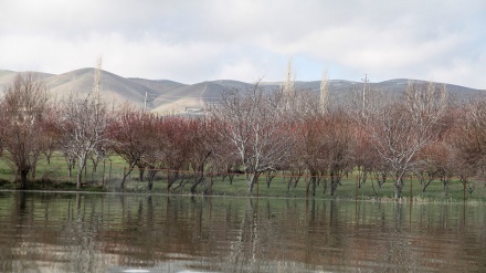سەرڕێژ کردنی بەنداوی قشڵاخی سنە
