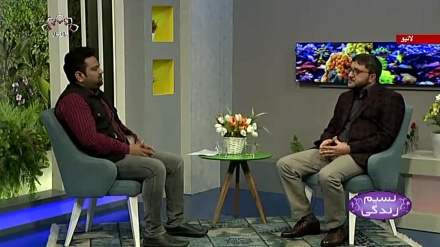 نسیم زندگی - خوراک میں موجود زہریلی  اجزاء اور  صحت پر اس کے اثرات