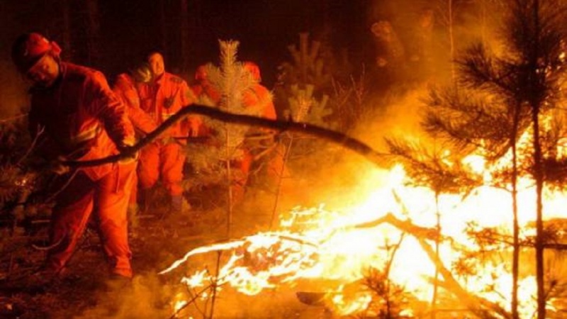 U šumskom požaru u Kini poginula 24 vatrogasca
