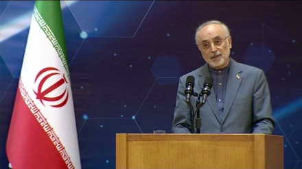 Salehi: ABŞ-ın həyasız davranışı İranın nüvə sənayesinin inkişafına mane ola bilməyib