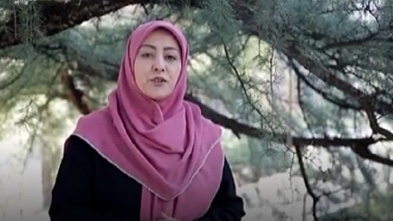 ئێران - 29-04-2019