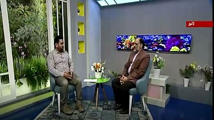 نسیم زندگی - ولادت امام زمانہ عج