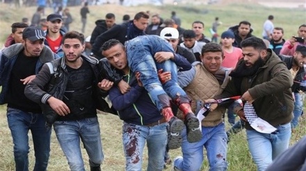 صیہونی دہشتگردوں کے حملے میں 14 فلسطینی زخمی